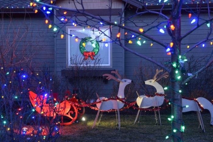 Outdoor battery operated christmas decor