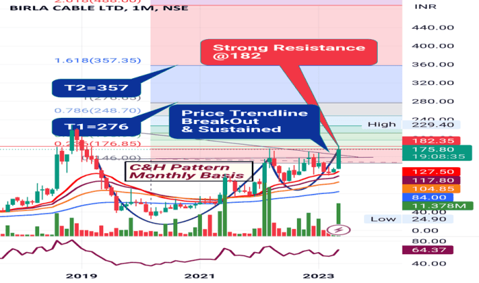 Birla cable stock price