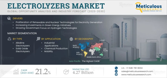 Enzolytics stock price