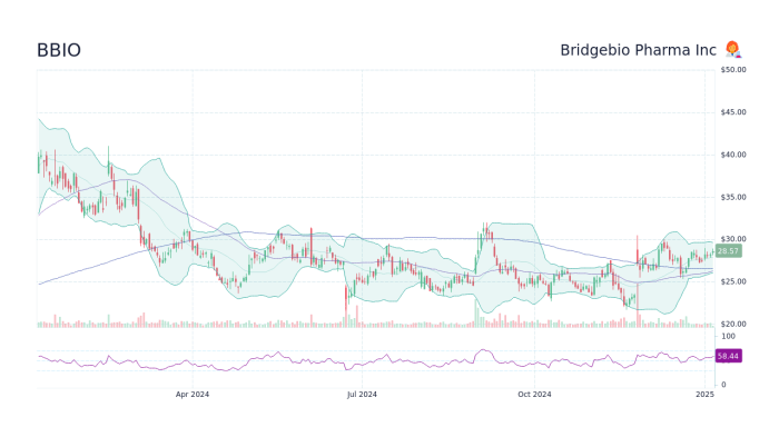 Brdg stock price