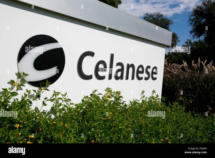 Celanese stock price