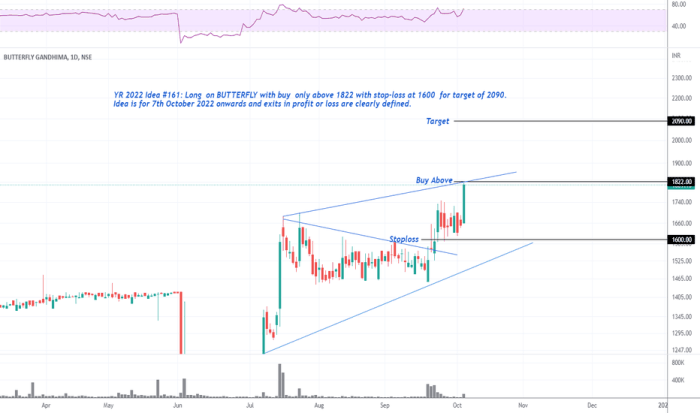 Butterfly network stock price