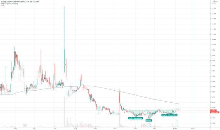 Bkyi stock price