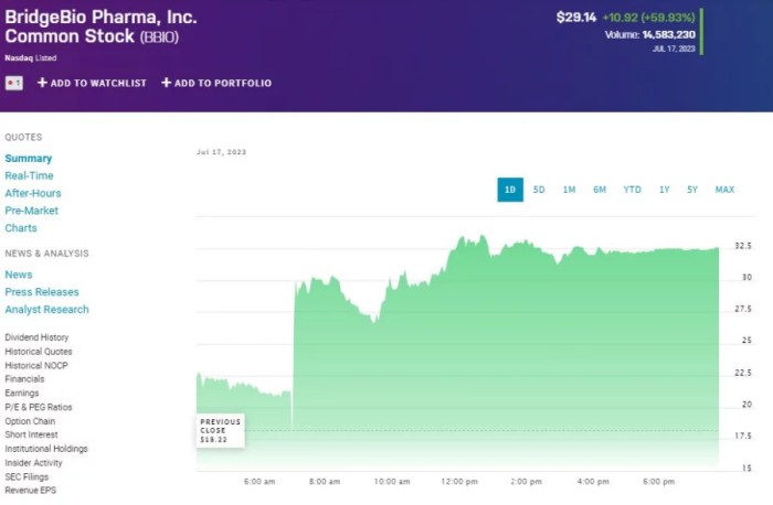 Brdg stock price